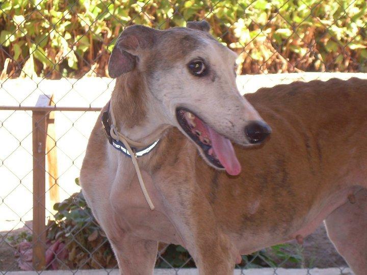 Gaia sigue buscando su hogar