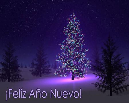 ¡Llega el nuevo año! FELIZ 2011