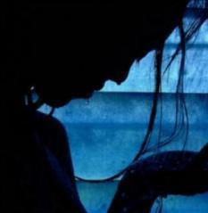 AMISTAD, ¿ERES TU? AMISTAD, ¿ERES TU?