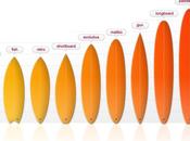 Tipos tablas surf