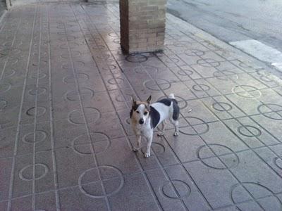 MAÑANA SE QUEDARA SIN LO POCO QUE EL CREE QUE TIENE.