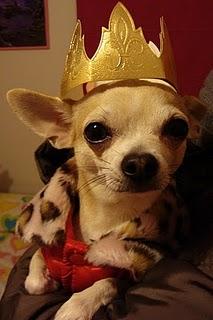 Mis regalos de Reyes!