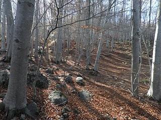 Valga la redundancia.