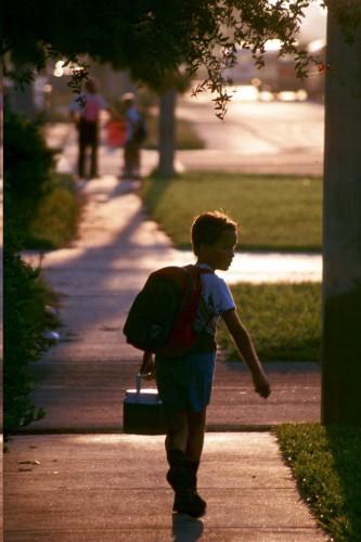 Posibles alteraciones durante la adaptación escolar