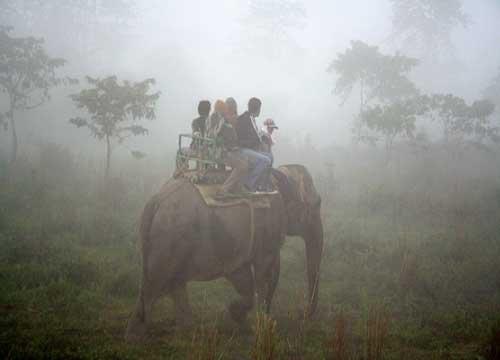 Safari en elefante