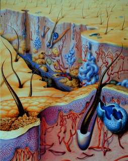 Mamá, quiero ser dermatóloga