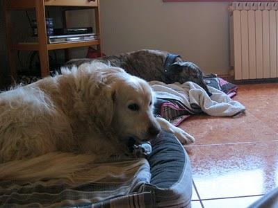 Comenzando otro año nuevo....