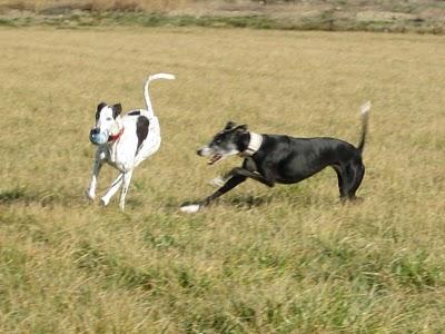 Comenzando otro año nuevo....