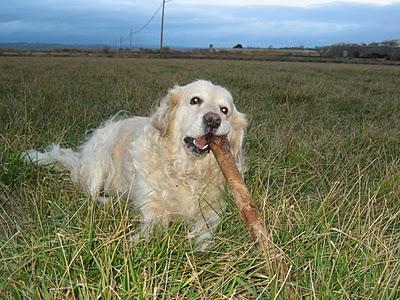 Comenzando otro año nuevo....