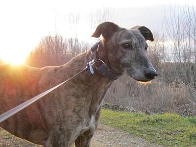 Comenzando otro año nuevo....