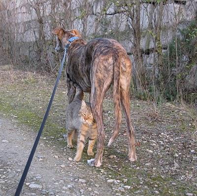 Comenzando otro año nuevo....