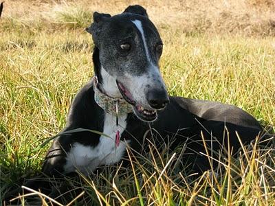 Comenzando otro año nuevo....