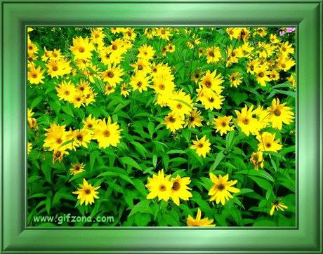 IMAGINERIA EN EL TRABAJO PSICOTERAPEUTICO.