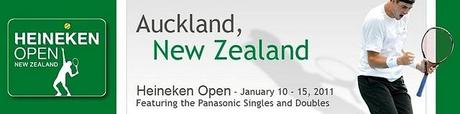 ATP 250 de Auckland: Isner será el rival de Nalbandian