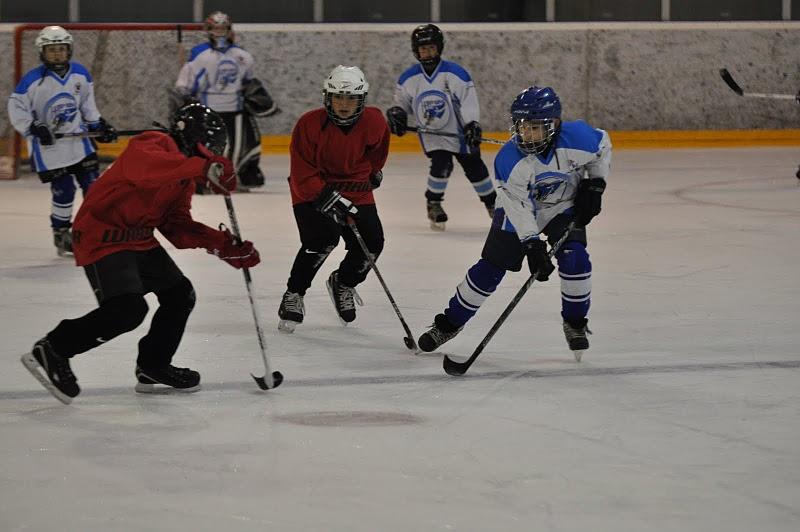 Hockey Hielo: Diario de viaje. Objetivo: Mannheim (3)