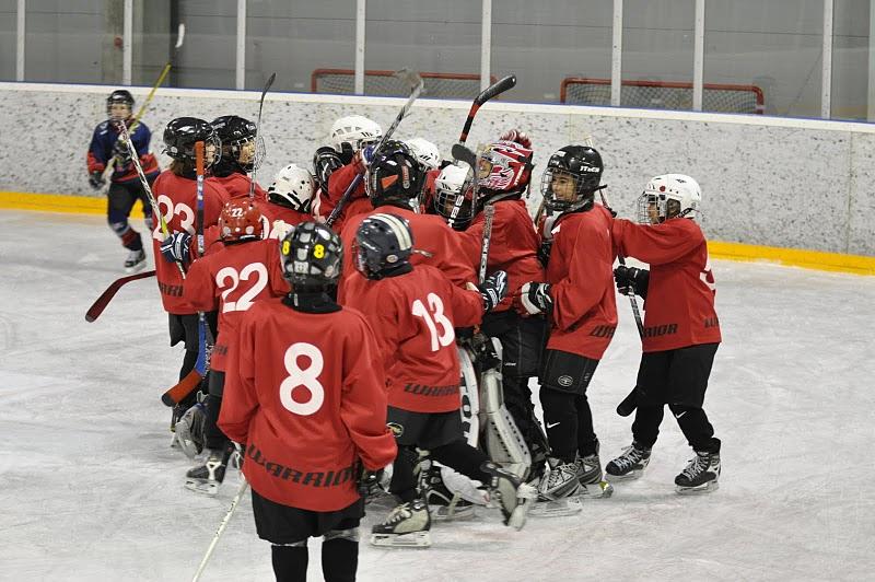 Hockey Hielo: Diario de viaje. Objetivo: Mannheim (3)