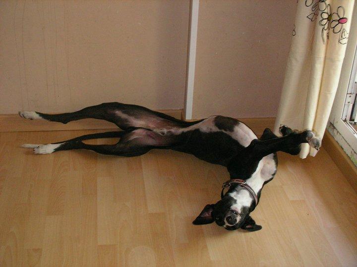 MADRID: LO ABANDONAN DE NUEVO