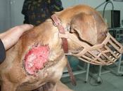 Ayuda urgente para vida.