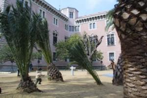 Sábado, 15 de enero