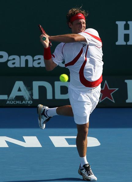ATP 250 de Auckland: Nalbandian ganó, y va por Almagro en semis