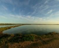 Un humedal de Huelva protegido recibe contaminantes