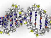 Nuevo test genético para detectar enfermedades hereditarias mortales