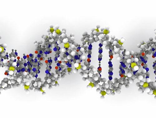 Nuevo test genético para detectar enfermedades hereditarias mortales