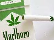 Prohibido fumar… tabaco. cannabis?