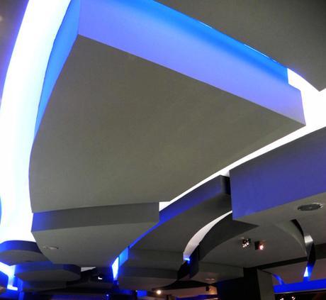 DSCN2923-copia EL TECHO COMO ELEMENTO CREATIVO