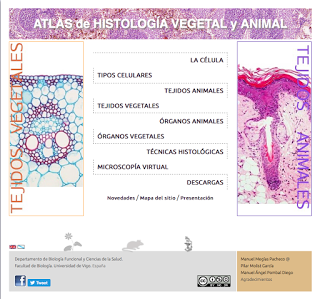 Atlas de histología vegetal y animal - ¡Online y gratis!