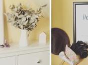 Decorar amatistas hogar