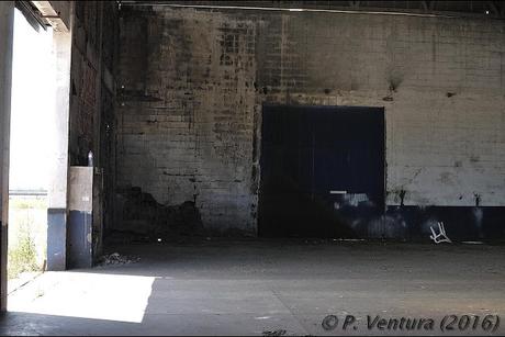 Las Naves de las Rosas