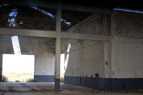 Las Naves de las Rosas