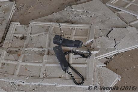 Las Naves de las Rosas