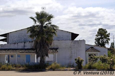 Las Naves de las Rosas