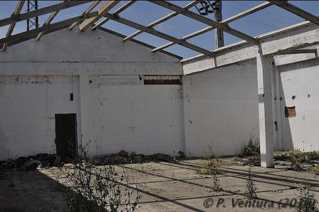 Las Naves de las Rosas