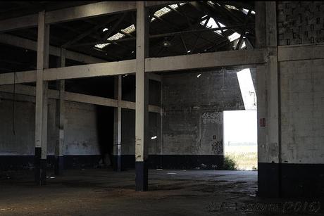 Las Naves de las Rosas