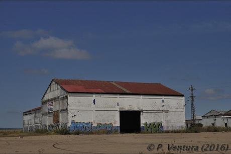 Las Naves de las Rosas