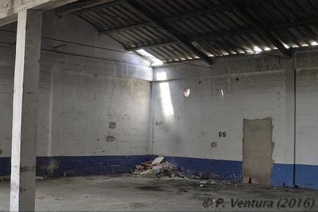 Las Naves de las Rosas