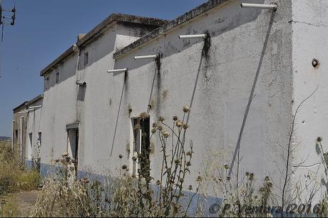 Las Naves de las Rosas
