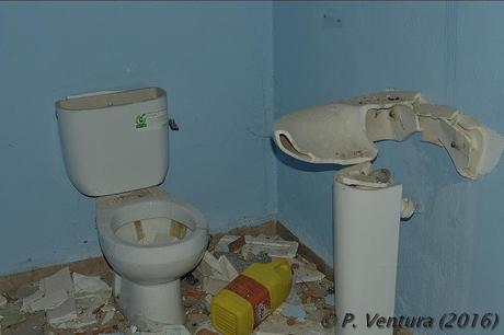 Las Naves de las Rosas