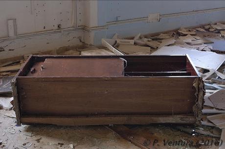 Las Naves de las Rosas