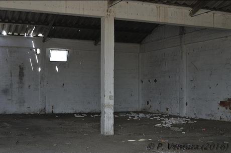 Las Naves de las Rosas