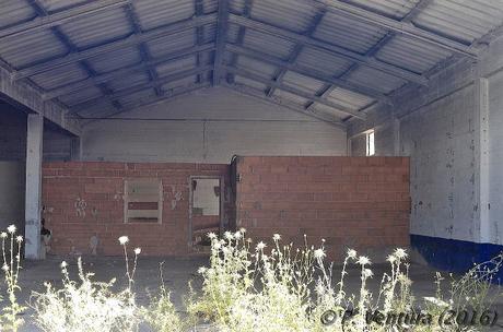 Las Naves de las Rosas