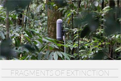 Fragmentos de extinción