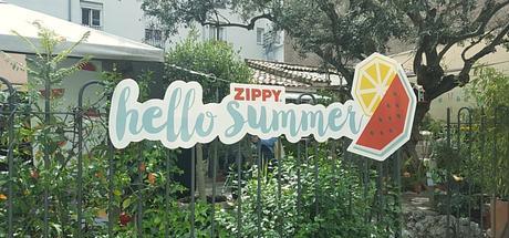 zippy-hello-summer