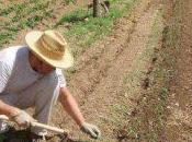 Régimen especial trabajadores temporada