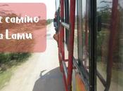 camino Lamu