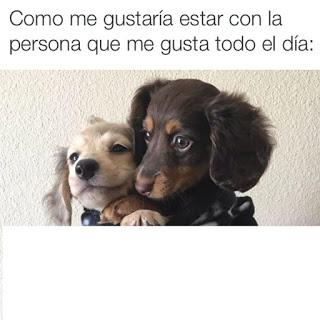 Pack N°5 Memes [Memes]