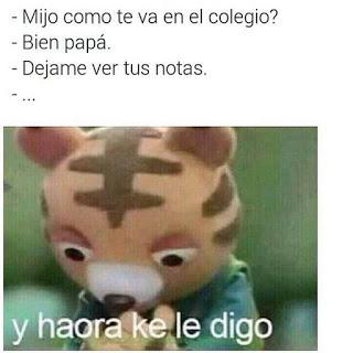 Pack N°5 Memes [Memes]